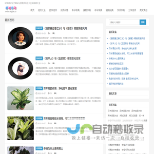 词语大全