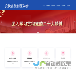 安徽省微创医学会