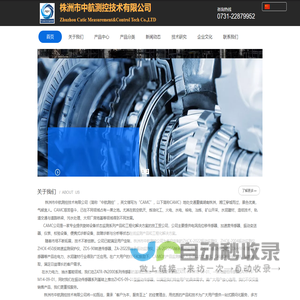 一体化摆度传感器ZATR