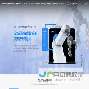 西安蓝色海岸信息技术有限公司