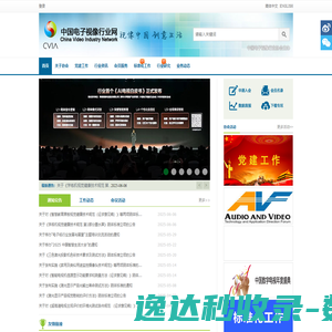 中国电子视像行业网