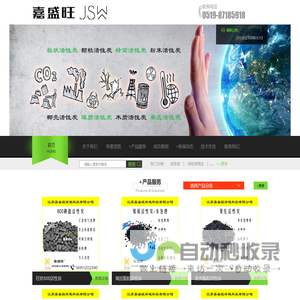 活性炭专家
