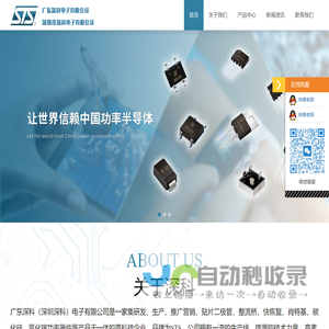 广东深科（深圳深科）电子有限公司