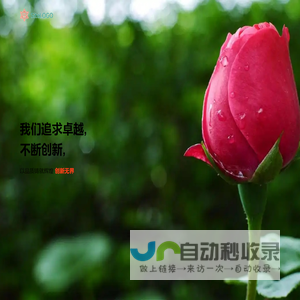 金掌惠网络