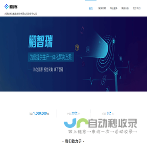 鹏智瑞