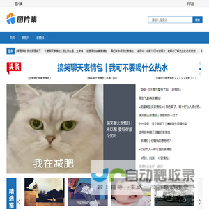 图片集