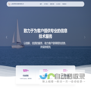 上海仰思若科技服务有限公司