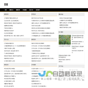 渝中区百星网络科技工作室（个体工商户）