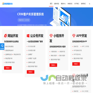 成都软件开发