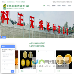 重庆科正苗木