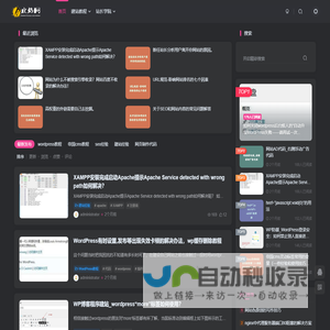 皮站网