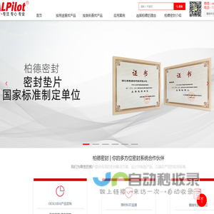 sealpilot柏德密封行业的领航者