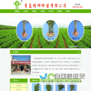 青岛精研种苗有限公司
