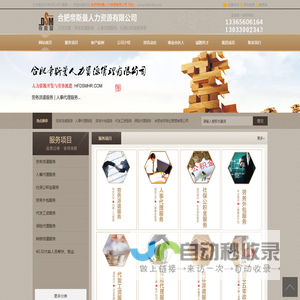 合肥帝斯曼人力资源有限公司