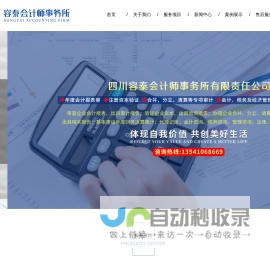 [容泰会计师事务所]审计报告