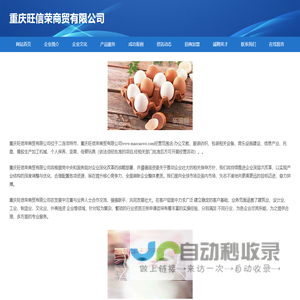 重庆旺信荣商贸有限公司