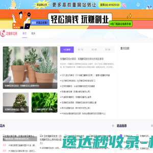 青蛙云