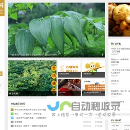 黄精网