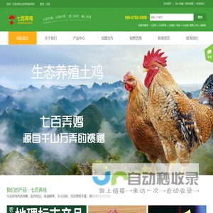 七百弄鸡网提供广西大化七百弄鸡销售