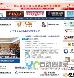 中国有色网