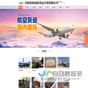 济南真航国际货运代理有限公司