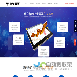 驷驰黑马