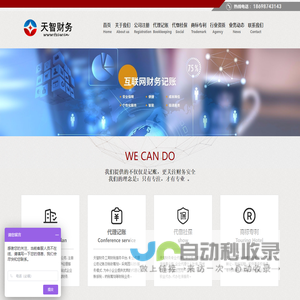 大连天智财务代理有限公司