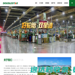 双星集团有限责任公司
