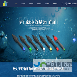 离子电极