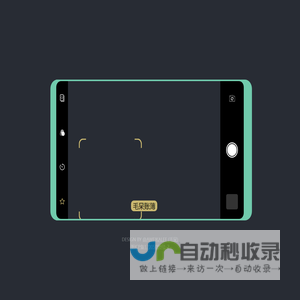 毛呆