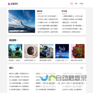 巫婆百科