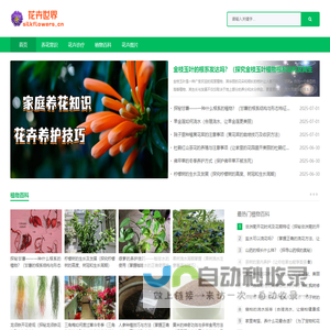 花卉世界