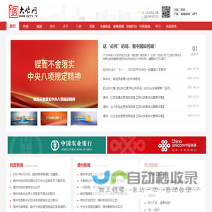 大略网