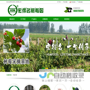 青岛宏得名工贸有限公司