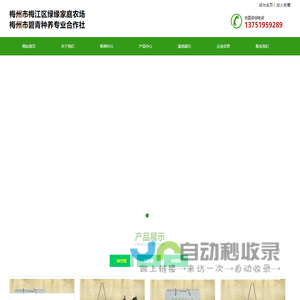 梅州市梅江区绿缘家庭农场,绿壳鸡蛋