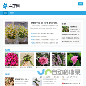 百花集