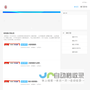 软件定制