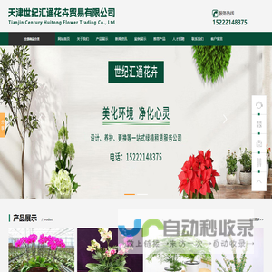 天津绿植租摆公司