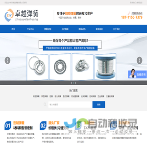 弹簧厂家,定制弹簧,泛塞封弹簧,医疗弹簧