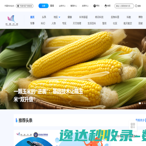 广州光亚法兰克福展览有限公司