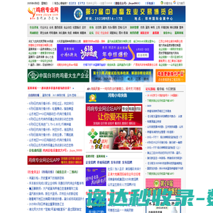 鸡病专业网
