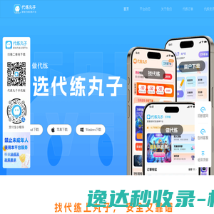 代练丸子官网