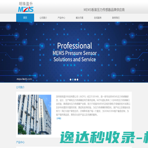 深圳明珠盈升科技有限公司