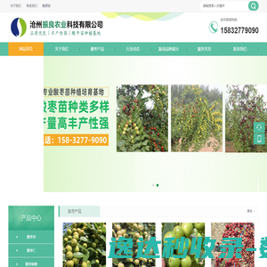 开云(中国)Kaiyun·官方网站