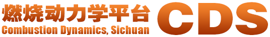 燃烧动力学平台