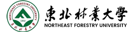 东北林业大学科技查新站