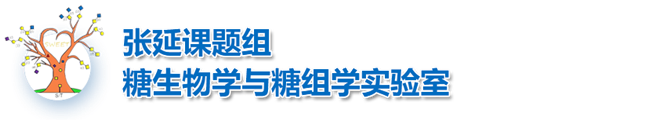 张延课题组
