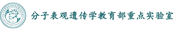 分子表观遗传学重点实验室