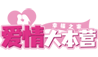 南京婚介