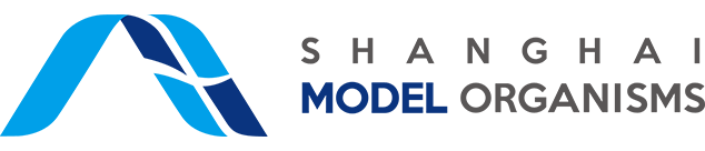 Shanghai